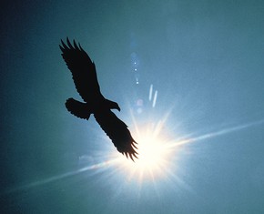 Knowledge: Wings to Man’s Life