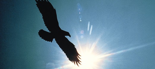 Knowledge: Wings to Man’s Life