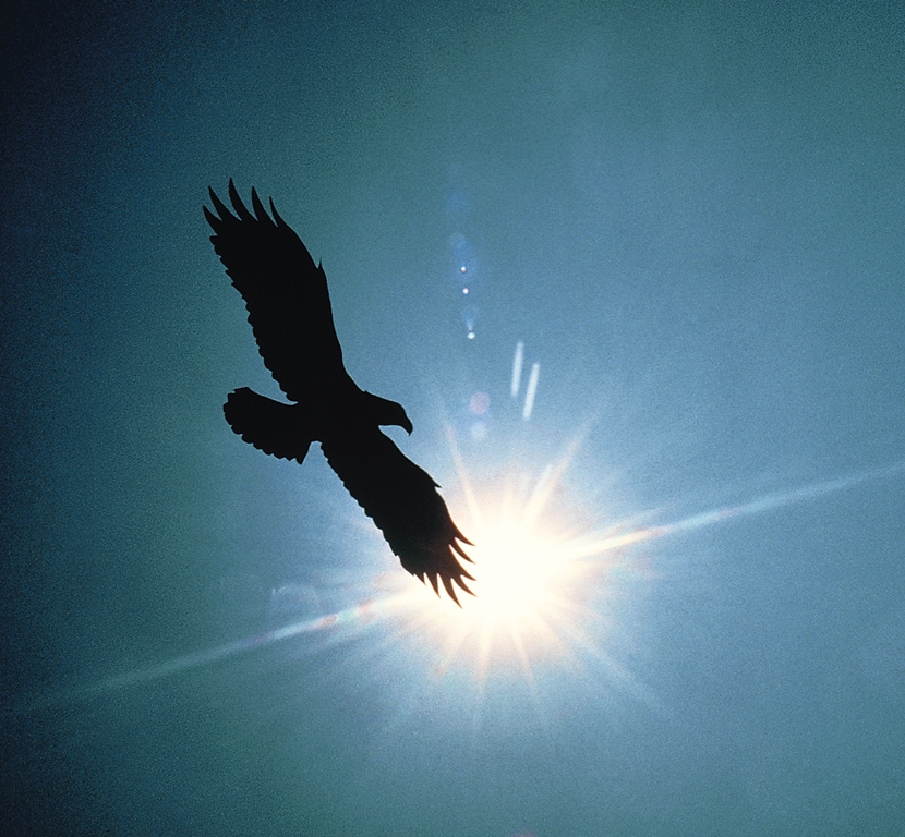 Knowledge: Wings to Man’s Life