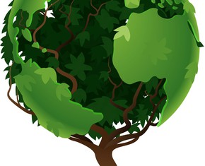 Leaves of One Tree & the Fruits of One Branch