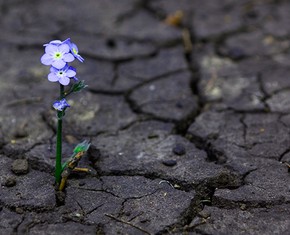 Be Ever Hopeful