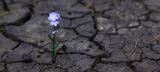 Be Ever Hopeful