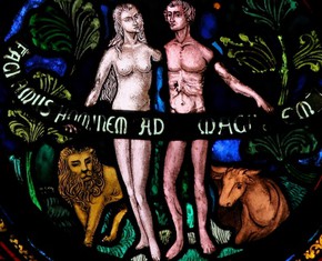 Did Eve Really Come from Adam’s Rib?