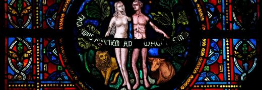 ¿Realmente Eva surgió de la costilla de Adán?