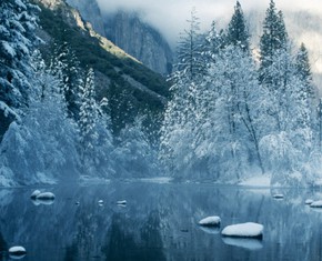 Nature is Governed by One Universal Law