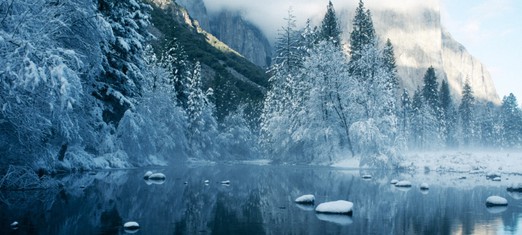 Nature is Governed by One Universal Law