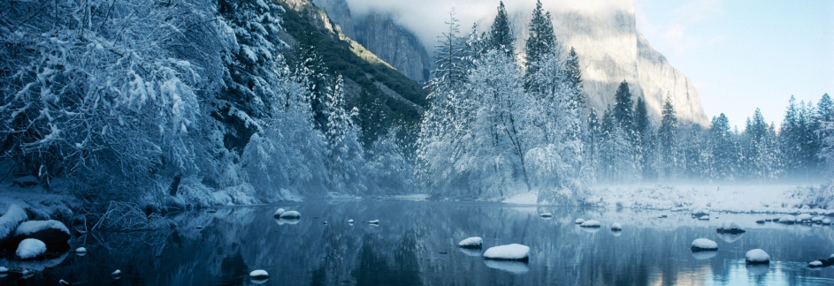 Nature is Governed by One Universal Law