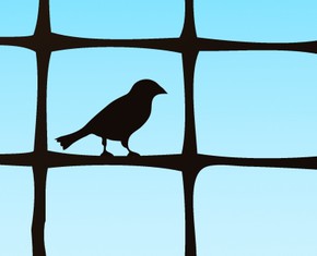 Free from Hatred