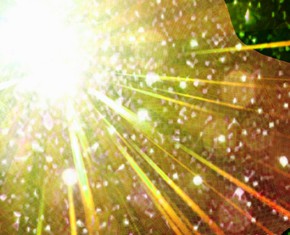 Is Humanity Nobler than Nature?