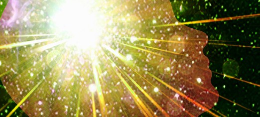 Is Humanity Nobler than Nature?