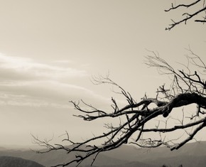 Why Religion Can Lead to Hostility & Hatred