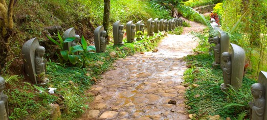 Thoughts on Reincarnation - Part 2
