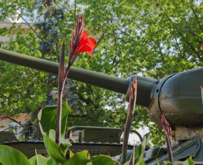 Nuclear Disarmament and the Blueprint for Peace