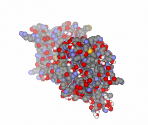 Brain Derived Neurotropihc Factor (BDNF)