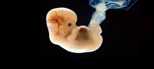 Is the Human Soul a Product of Evolution?