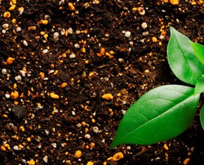 Spring, Change & Renewal