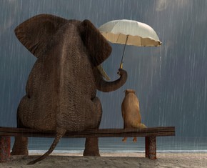 If We Are Sacred, Every Living Thing Is Sacred