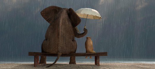 If We Are Sacred, Every Living Thing Is Sacred