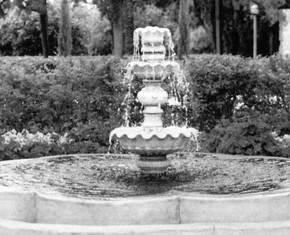 The Garden of Freedom