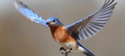 Gender Equality: A Spiritual Truth