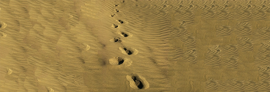 Who is this God Person, Anyway?