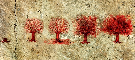 Notes from a New Baha’i – Timelines