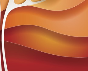 Notes from a New Baha’i - Blood
