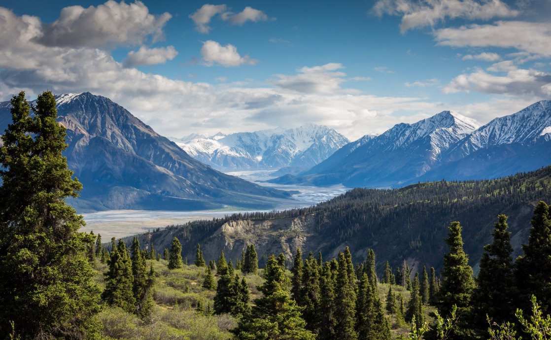 Why Do Prophets Seek Refuge in the Wilderness?