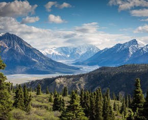 Why Do Prophets Seek Refuge in the Wilderness?