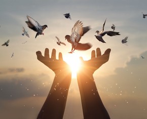 When the Baha’i Faith Began