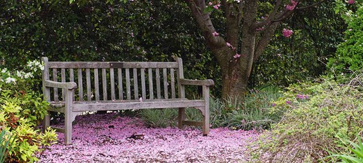 Never Forget the Earth