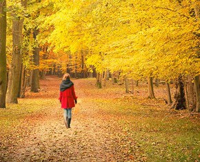 Walking the Baha’i Talk