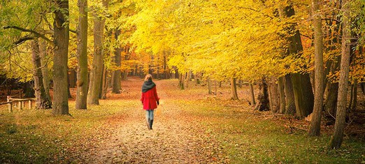 Walking the Baha’i Talk