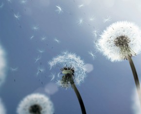 A Breath of God’s Spirit