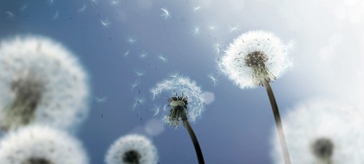 A Breath of God’s Spirit