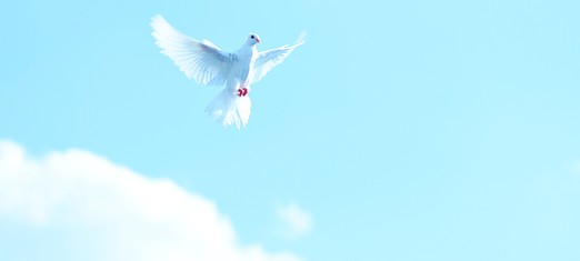 Actually Achieving World Peace