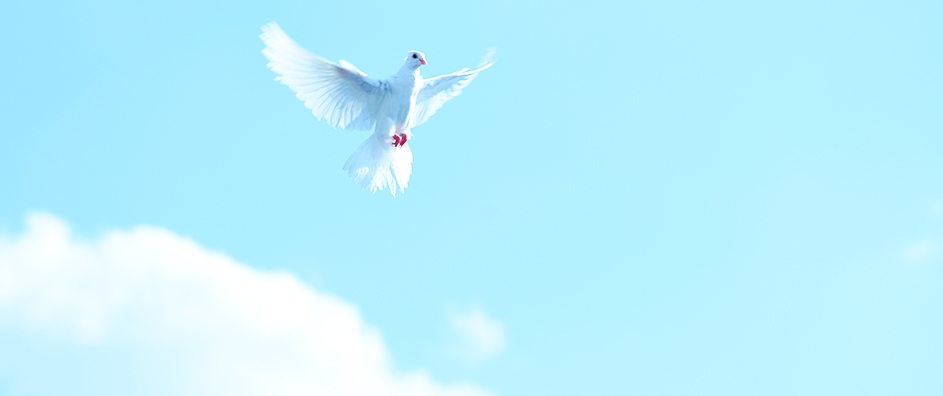 Actually Achieving World Peace