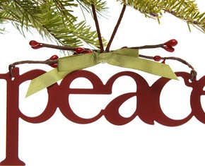 Nurturing Peace on Earth