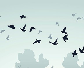 Baha’u’llah Frees the Enslaved