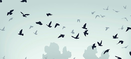 Baha’u’llah Frees the Enslaved