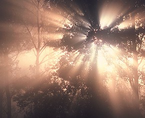 The Human Soul: A Mystery