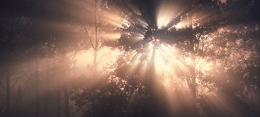 The Human Soul: A Mystery