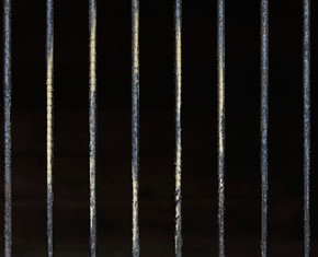 The Survival of Conscience