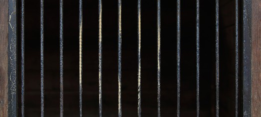 The Survival of Conscience