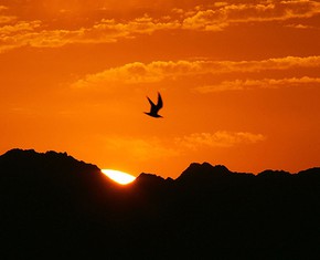 Progressive Revelation and “Foreign” Faiths
