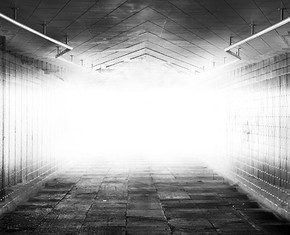 The Object of the True Seeker’s Quest