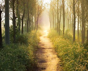 Encontrando su camino espiritual