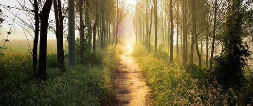 Finding Your Spiritual Path