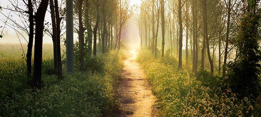 Finding Your Spiritual Path