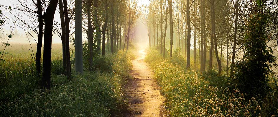 Encontrando su camino espiritual